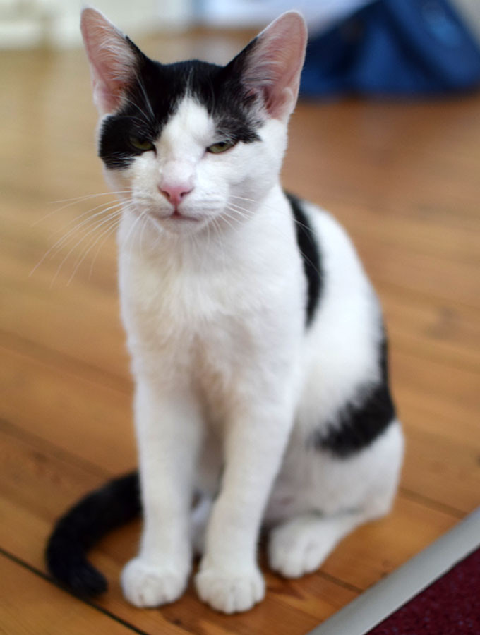 sabine-gimm-elwood-01