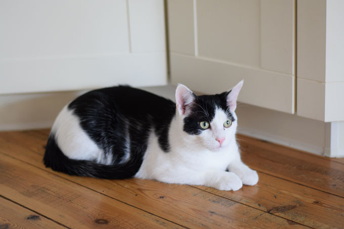 sabine-gimm-elwood-01